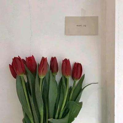九游忍者大乱斗hd版下载